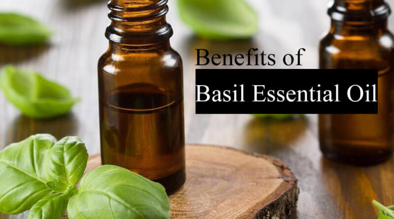 6 Amazing Basil Essential Oil Benefits And Uses Healthtostyle 8459