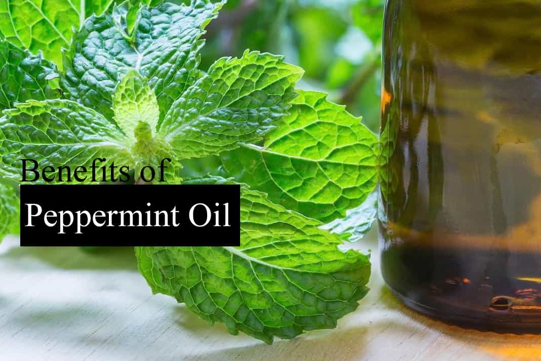 Peppermint Oil Benefits