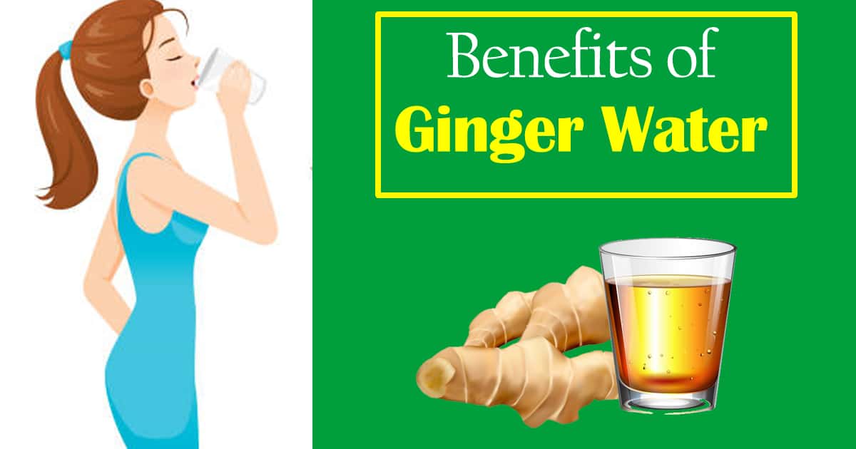 Ginger Water Benefits 