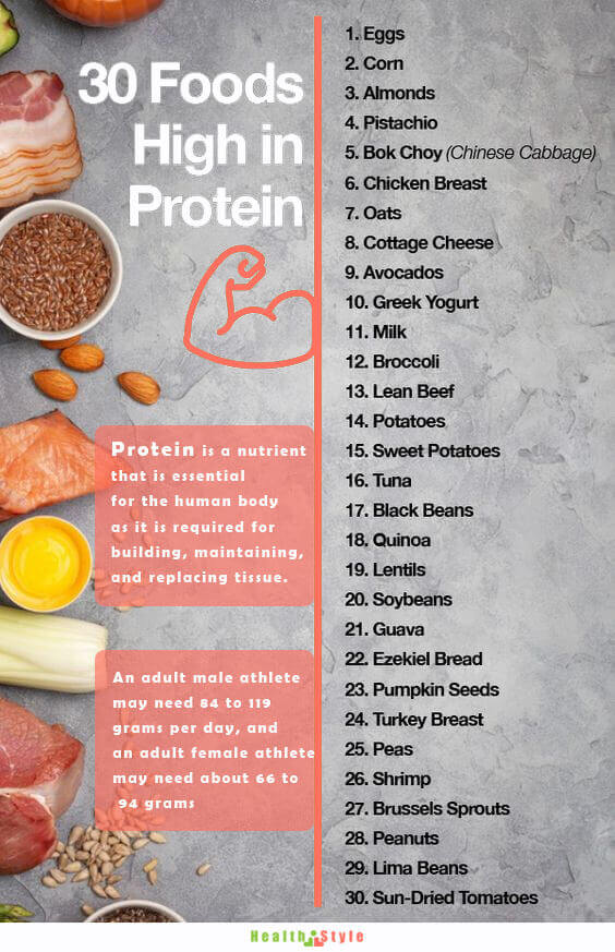 Foods High In Protein