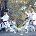 best martial arts for fitness