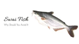 swai fish benefits