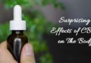 Effects of CBD on The Body