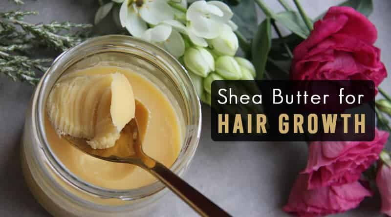 shea butter for hair