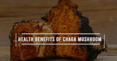 Benefits Of Chaga Mushroom