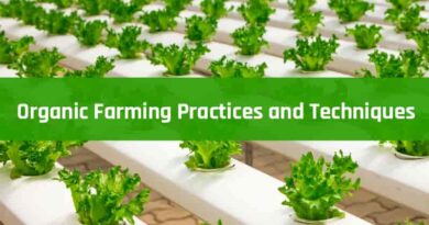 Organic Farming Practices and Techniques
