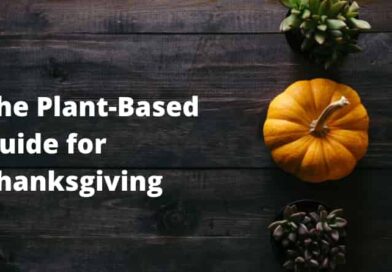 The Plant-Based Guide for Thanksgiving  