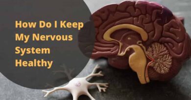 How Do I Keep My Nervous System Healthy