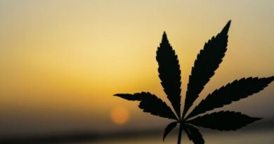 New York Medical Marijuana Card