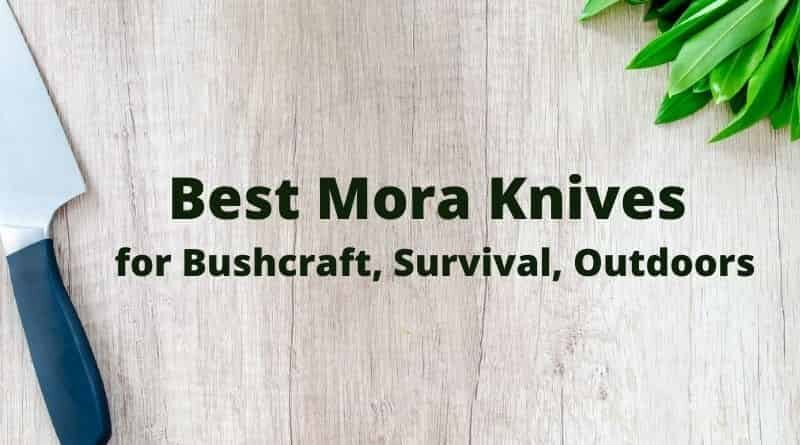 Best Mora Knives